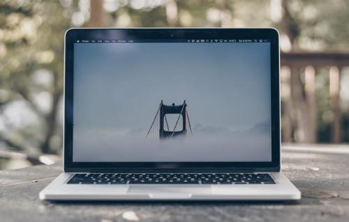 自动投票工具,怎么使用？