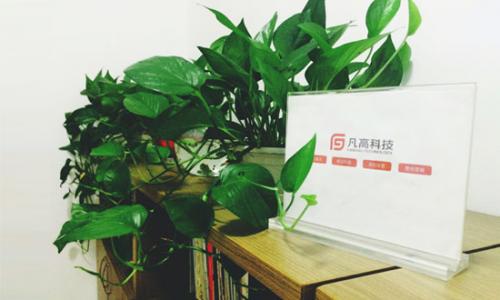 当下微信拉票有哪些比较好的方法？