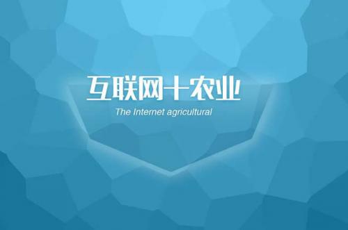 微信怎么在群里发投票