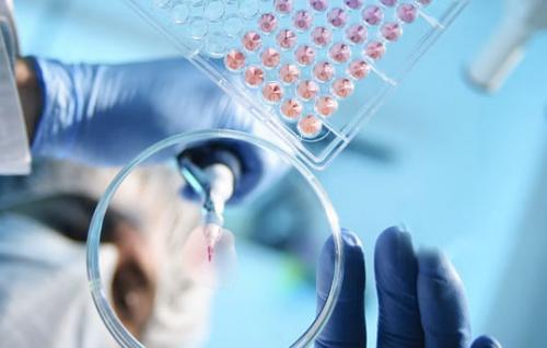 微信投票链接微信节目投票系统制作