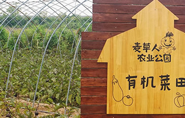 刷票器微信微信投票买票有风险吗