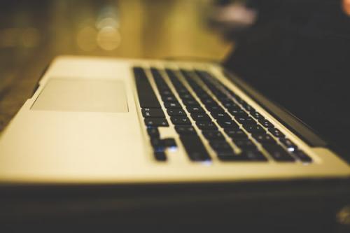 网络投票目前什么价格？怎样在网上上买投票