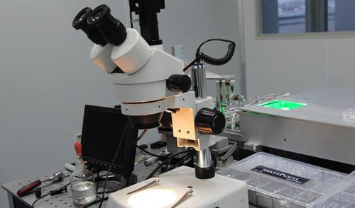 微信 刷票的功率到底有多高