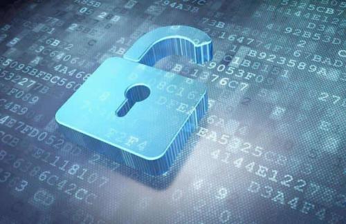 最好的微信投票微信后台投票隐藏